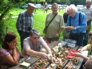Compte rendu de la sortie du 10 septembre 2011 – Bois de St-Pierre à Smarves (86)