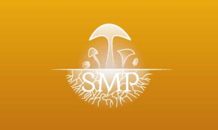 Programme d’activités SMP Hiver-Printemps 2017